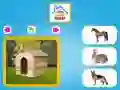 游戏谁住在这里在线 游戏谁住在这里在线