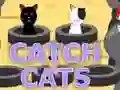 游戏抓猫在线 游戏抓猫在线