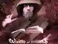 游戏符号巫师在线 游戏符号巫师在线