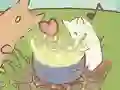 游戏可爱猫城在线