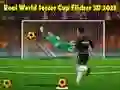 游戏真实足球世界杯 Flicker 3D 2023在线