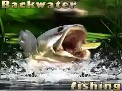游戏静水钓鱼在线