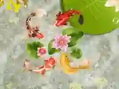 游戏锦鲤池在线 游戏锦鲤池在线
