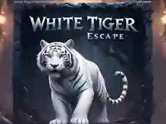 游戏白虎逃脱在线 游戏白虎逃脱在线