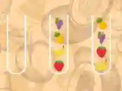 游戏水果分类大师在线 游戏水果分类大师在线
