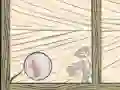 游戏泡泡 Quod在线