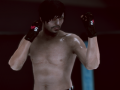 游戏MFS：MMA 格斗者在线