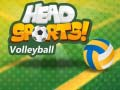 游戏Head Sports 排球在线