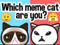 游戏你是哪只迷因猫？在线