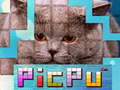 游戏PicPu 猫在线