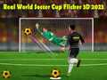 游戏真实足球世界杯 Flicker 3D 2023在线